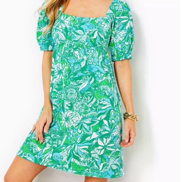 Lilly Pulitzer Dresses & Skirts - NEW SIZE 6 Lilly Pulitzer Delaney dress in Safari Sangria
